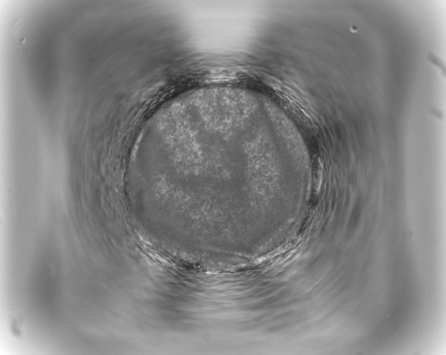 X0000093161441200710241011