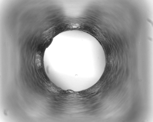 X0000093161442200710241011