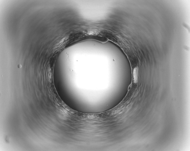 X0000093161443200710241011