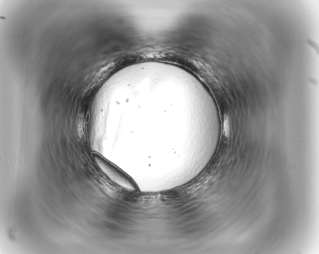 X0000093161444200710241011