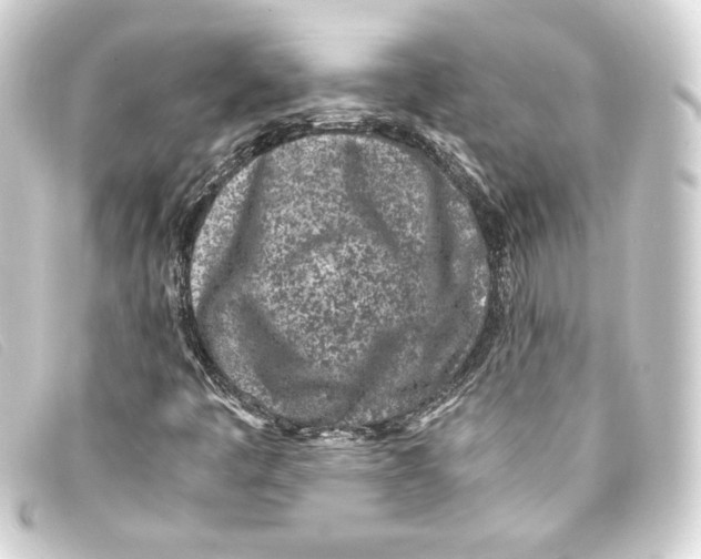 X0000093161445200710241011