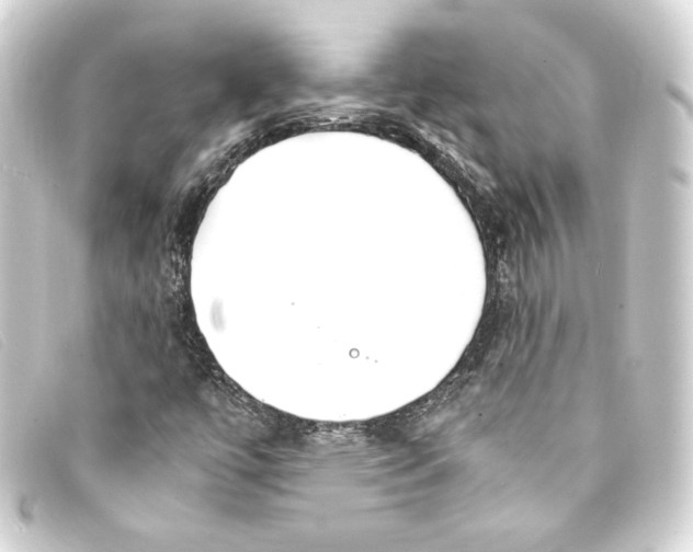 X0000093161447200710241011