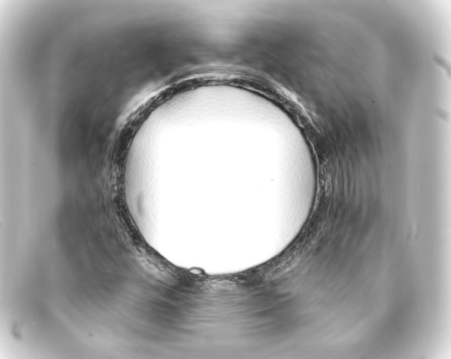X0000093161448200710241011