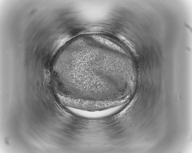 X0000093161449200710241011