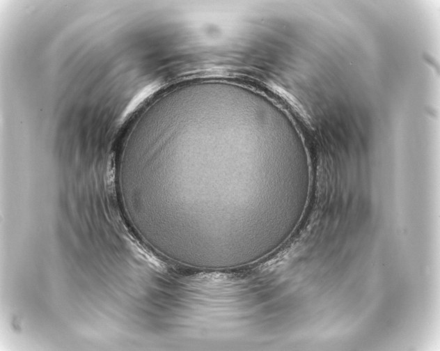 X0000093161450200710241011