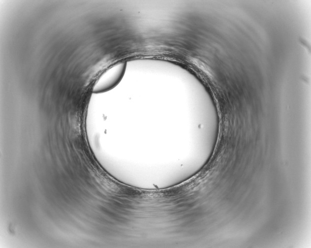 X0000093161451200710241011