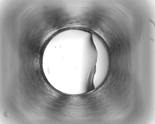 X0000093161452200710241011