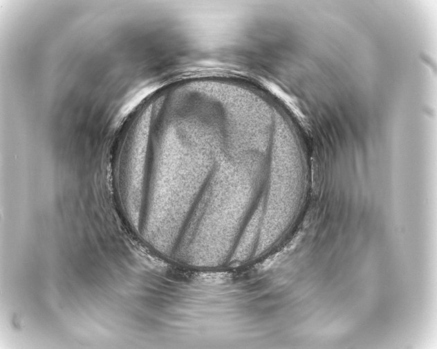 X0000093161453200710241011
