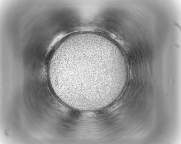 X0000093161454200710241011