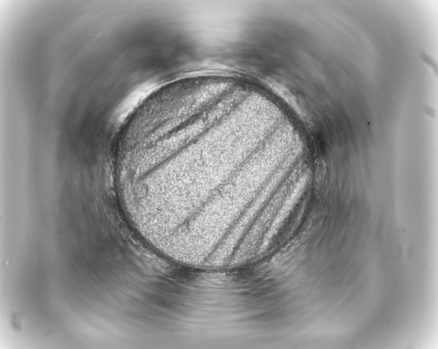 X0000093161455200710241011