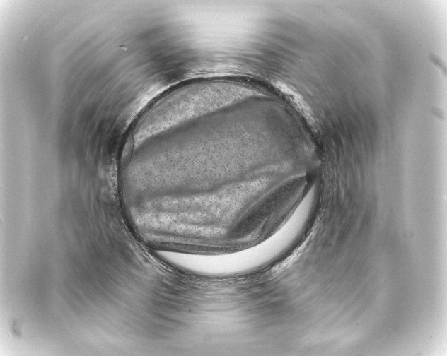 X0000093161457200710241010