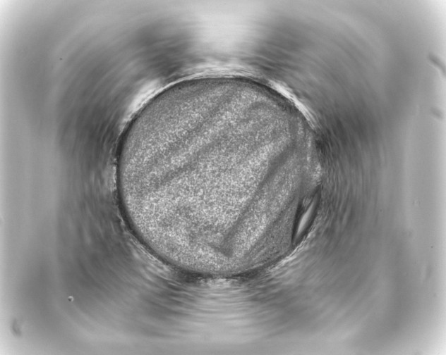 X0000093161459200710241010