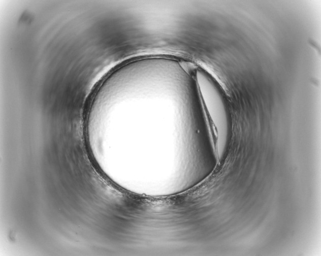 X0000093161460200710241010