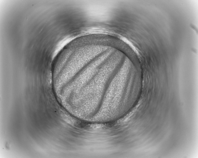 X0000093161461200710241010