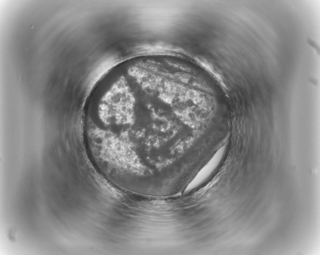X0000093161463200710241010