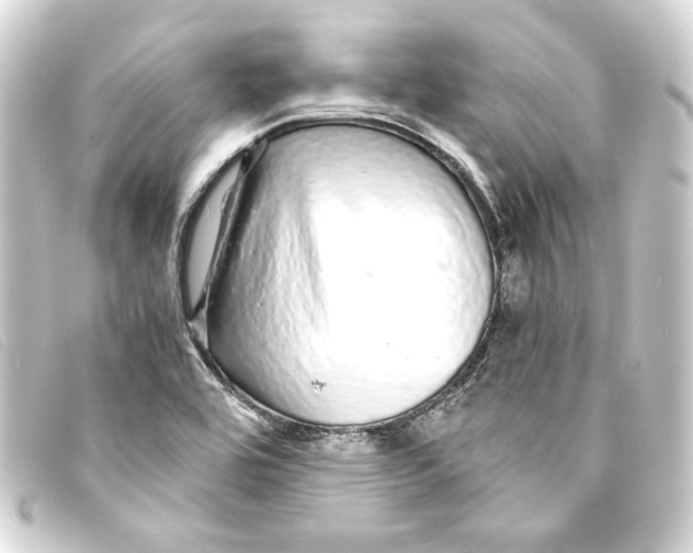 X0000093161464200710241010