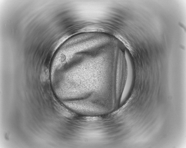 X0000093161465200710241010