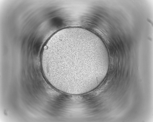 X0000093161466200710241010