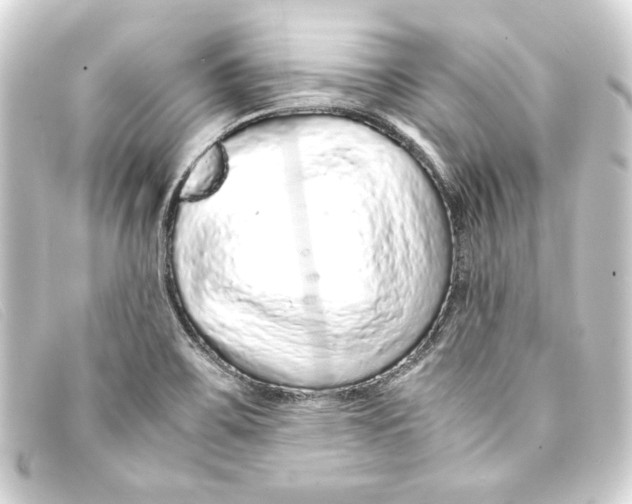 X0000093161467200710241010