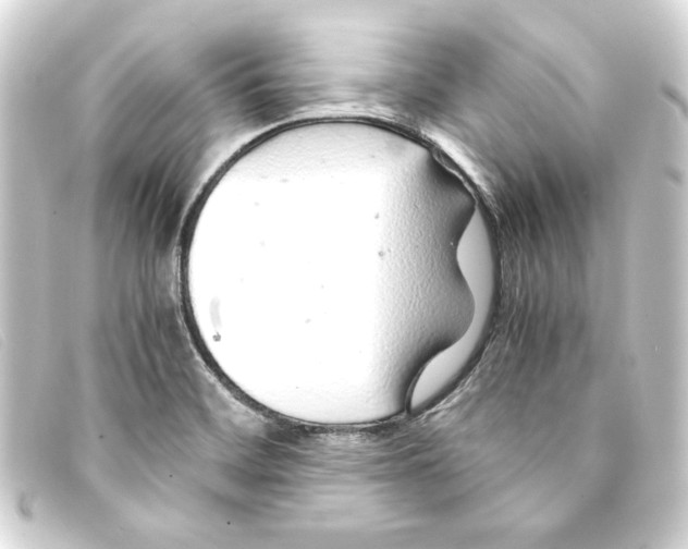 X0000093161468200710241010