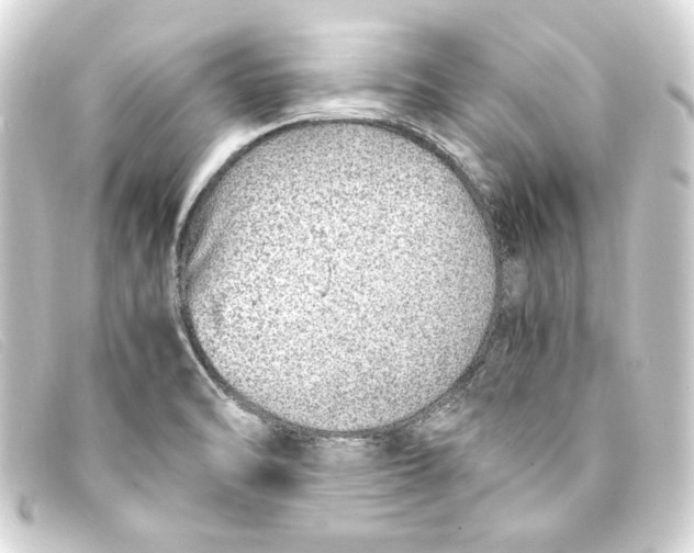 X0000093161470200710241010
