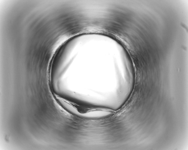 X0000093161471200710241010
