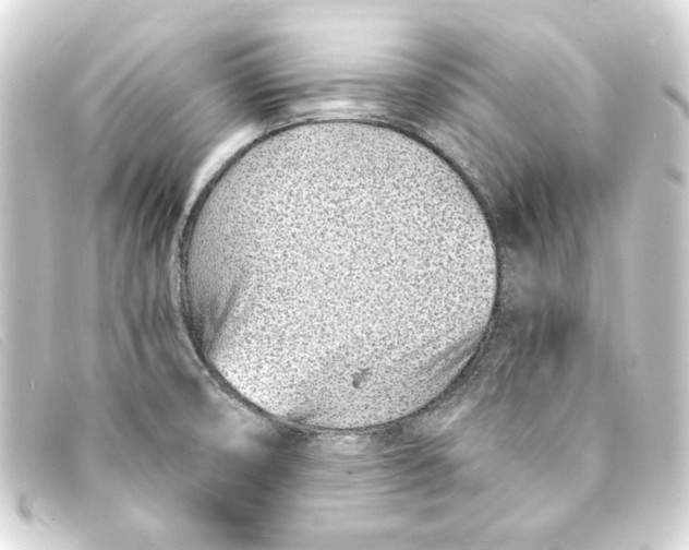 X0000093161474200710241010