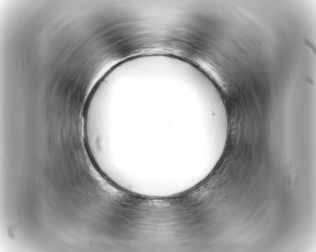 X0000093161476200710241010