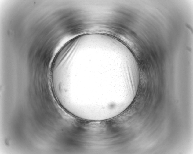 X0000093161478200710241010