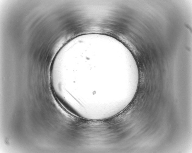 X0000093161479200710241010