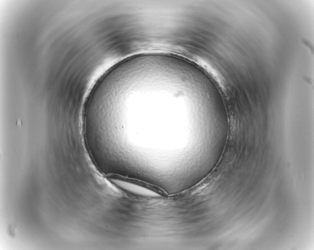 X0000093161480200710241010