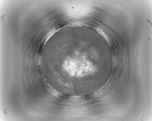 X0000093161481200710241010