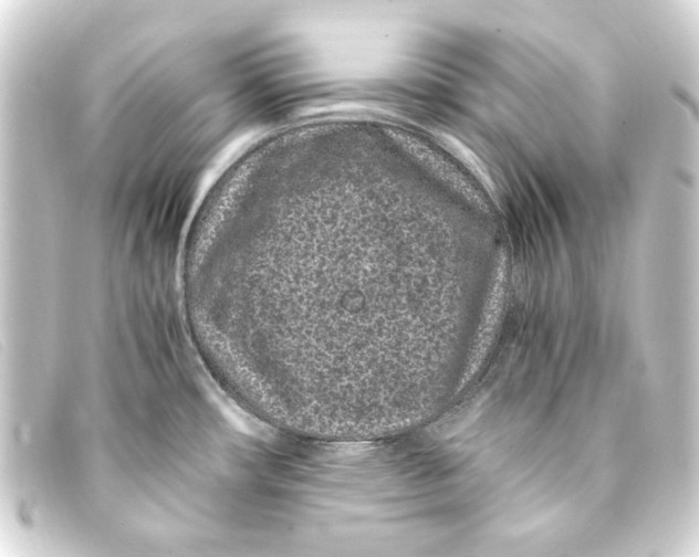 X0000093161482200710241010