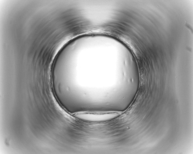 X0000093161483200710241010
