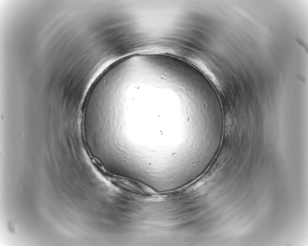 X0000093161484200710241010