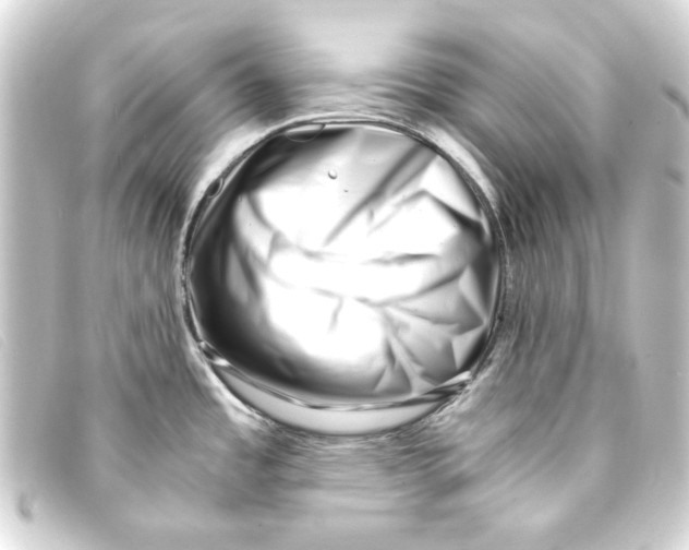X0000093161485200710241010