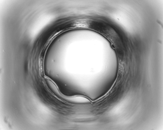 X0000093161487200710241010