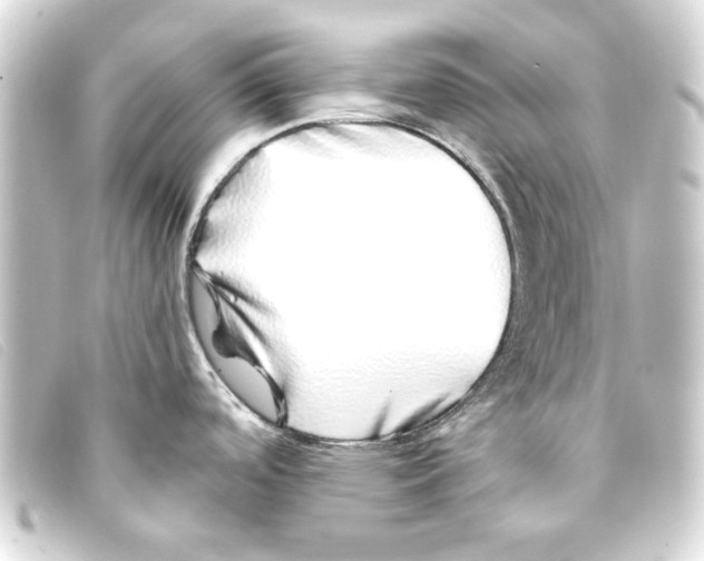 X0000093161488200710241010