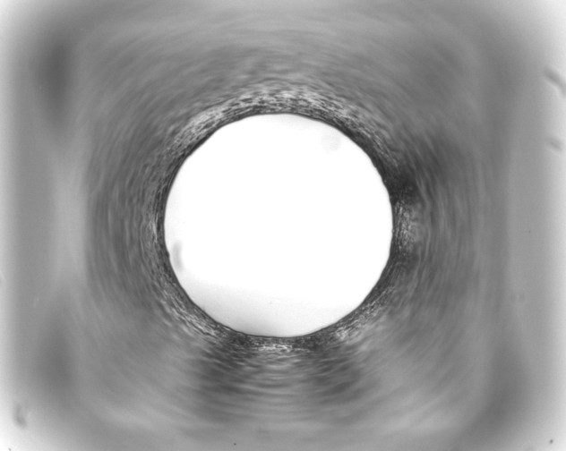 X0000093161489200710241009