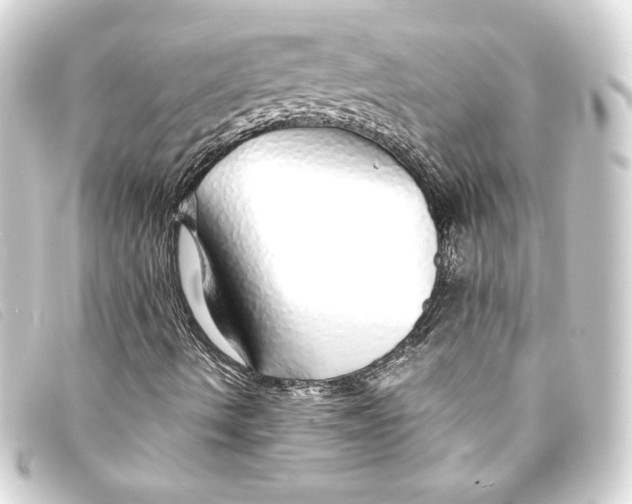 X0000093161490200710241009