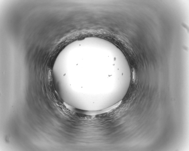 X0000093161492200710241009
