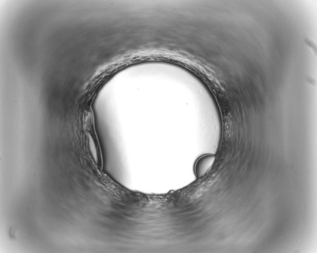X0000093161494200710241009