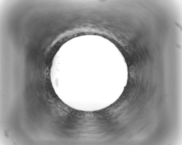 X0000093161495200710241009