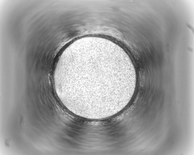 X0000093161497200710241009