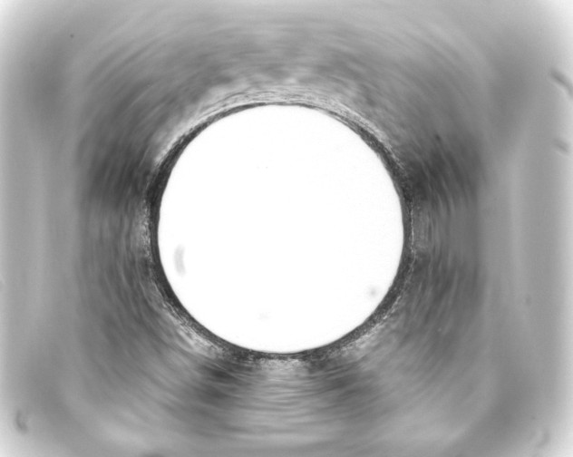 X0000093161498200710241009