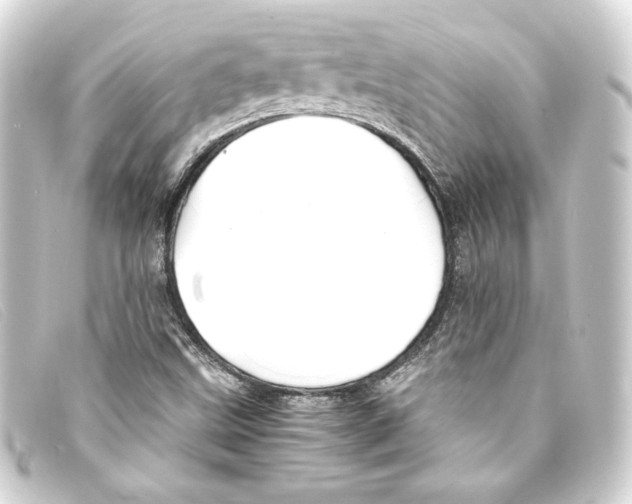 X0000093161499200710241009