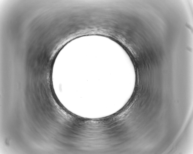 X0000093161500200710241010