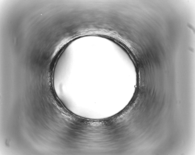 X0000093161501200710241010