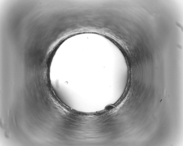 X0000093161502200710241010