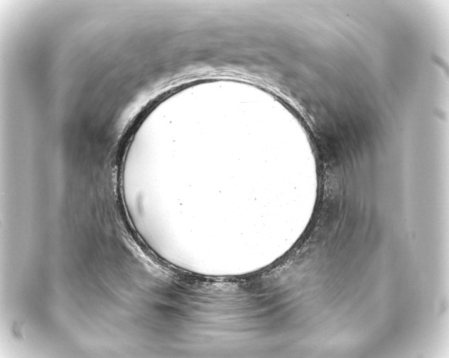 X0000093161503200710241010